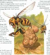 Image result for Anime Boy Bunny Bee