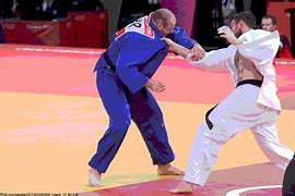 Image result for Judo Fighter