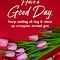 Image result for Sayings for a Good Day