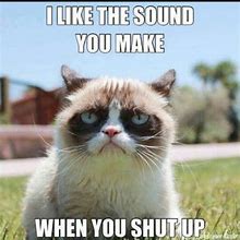 Image result for Grumpy Cat Memes Work