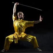 Image result for What is the most dangerous martial arts style?