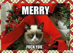 Image result for Grumpy Cat Friday Meme