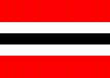 Image result for Black and White Flag with Red Stripe