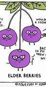 Image result for Berry Jokes
