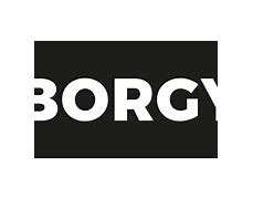 Image result for borgi��n