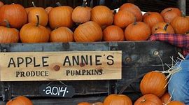 Image result for Apple Annie's Orchard