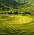 Image result for Background Bậc Thang 5S