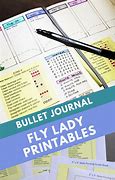 Image result for FlyLady Bullet Journal