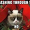 Image result for Grumpy Cat Christmas Desktop Backgrounds