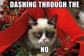 Image result for Grumpy Cat Christmas Cartoon