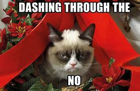 Image result for Grumpy Cat Happy New Year