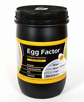 Image result for 1000 Gr Baking Egg Protein Powder
