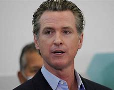 Image result for Gavin Newsom Hair Transplants