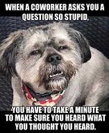Image result for Funny Dog Work Memes