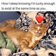 Image result for Funny Memes to Send Your Boyfriend