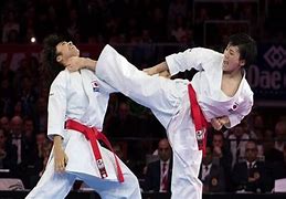 Image result for Karate Deadly Techniques
