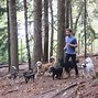 Image result for Jogging with Dog
