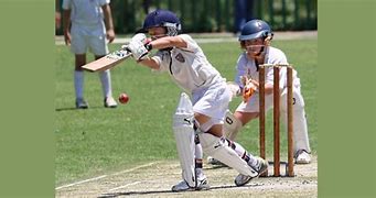 Image result for Kids Cricket Physical Games