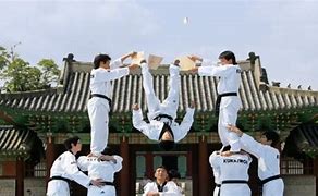 Image result for Korean Artist Know Martial Arts