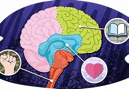 Image result for Anxiety Brain Drawing