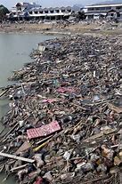 Image result for Decaying Body Tsunami