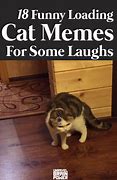 Image result for Cat Loading Sign Meme