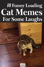 Image result for Meme the Loading Cat