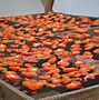 Image result for Dehydrating Cooked Meals