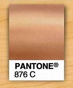 Image result for Matte Rose Gold Color Matches