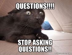 Image result for Just Asking Questions Meme