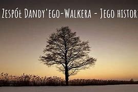 Image result for co_to_za_zespół_dandy’ego walkera