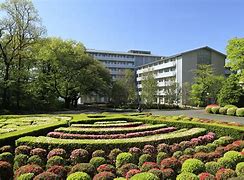 Image result for International Christian University Autumn Japan