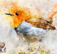 Image result for Watercolor Photohop