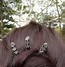 Image result for Iron Hair Pins