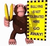 Image result for No Bully Meme