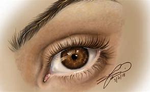 Image result for Brown Eyes Drawing