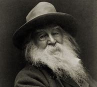 Image result for Whitman Viognier