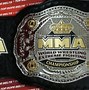Image result for MMA Belt