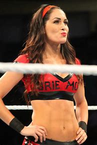 Image result for WWE Nikki Bella Batista