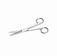 Image result for Straight Scissors Surgical