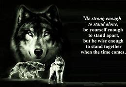 Image result for Aesthetic Wolf Quotes