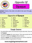 Image result for Opaque Meaning
