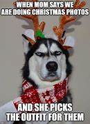 Image result for Christmas Dog Meme Joke Husky