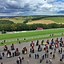 Image result for Goodwood Horse Racing