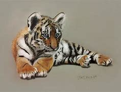 Image result for Tiger Cub Drawing
