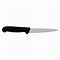 Image result for Flexible Fillet Knife