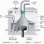 Image result for Galvanic Cell Half-Reactions