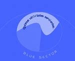 Image result for Blue Sector Logo