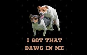 Image result for Got That Dawg in Me Meme