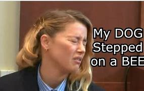 Image result for Amber Heard Stung by a Bee Meme